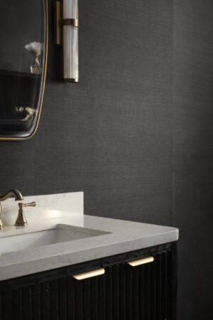 Make Ready Design + Build Custom Home Renovations - bathroom wall remodel,