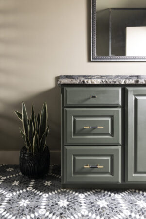 Terrel Ranch Renovations, bathroom redesign