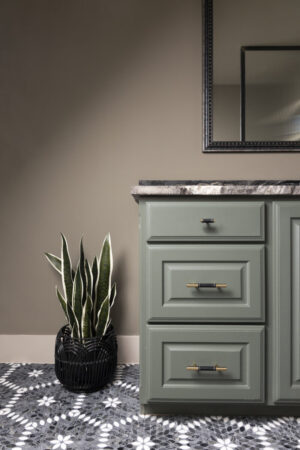 Terrel Ranch Renovations, bathroom redesign